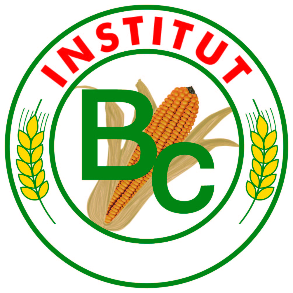 bcim.hu - BC Kukorica Hibrid - Kukorica termelőknek
